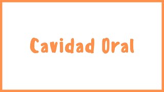 ANATOMÍA | Cavidad oral y lengua | BLASTO