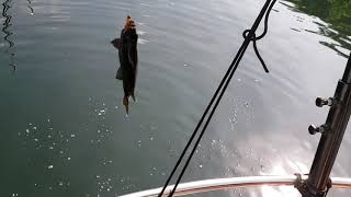 Resealing the mast step on a Catalina 25