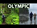 4 Essential Stops at Olympic National Park in Washington