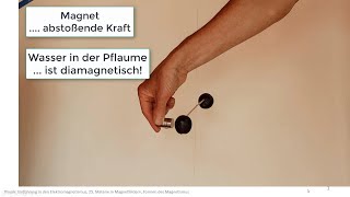 Elektromagnetismus Experiment: Diamagnetismus von Pflaumen