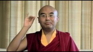 "What Meditation Really Is" ~ Mingyur Rinpoche