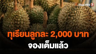 ทุเรียนลูกละ 2,000 บาทจองเต็มแล้ว | วันใหม่ ไทยพีบีเอส | 9 มี.ค. 66