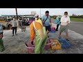 fish market in pehngu｜online tour in penghu｜traveling taiwan｜