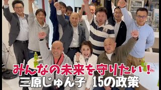 三原じゅん子15の政策 その⑨「産業のエネルギー転換を促進する」