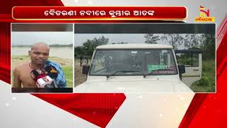 Keonjhar : Crocodile Creates Panic In Baitarani River | NandighoshaTV