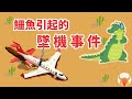 能夠引起飛機墜毀的不只有鳥 | 鱷魚也行