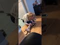 heidi gubala gives effrin belly scratches