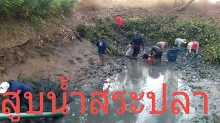 สูบน้ำสระปลา|EP138