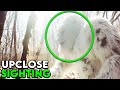 You Won't Believe What This Trail Cam Footage Reveals