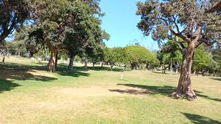 Wynberg Park on a October day in Cape Town