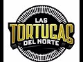 Tortugas Del Norte - La Indiecita/Vestido Blanco #audiorental #drumtech #cumbiasnorteñas