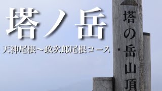 塔ノ岳　天神尾根〜政次郎尾根コース