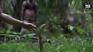 Snek is a tiny embeddable language