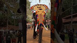 thrikkadavoor sivaraju gajaraja raknam | തൃക്കടവൂർ ശിവരാജുവിന് ഗജരാജരത്ന പട്ടം | #elephant