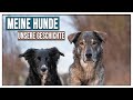 Wieso hört mein Hund nicht mehr so gut? 🐶 Die Geschichte meiner Hunde ❤️ - TGH XXL 2