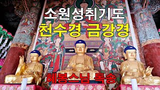 [소원성취기도] 천수경 금강경 혜봉스님 독송 (☎010-4667-4557법등심)