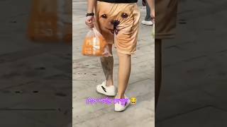 Cute puppy 😂Tail Wagging Trouble 😂 খুব সুন্দর একটি কুকুর 😂