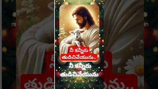 నీ కన్నీరు తుడిచివేయును #shorts #youtubeshorts #shortvideo #telugu #jesus