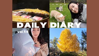 『Della’s Daily Diary』14｜双十一购物开箱｜北京好吃的烤肉｜植物园秋天