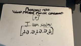 (Redo) [ɟ] voiced palatal plosive consonant