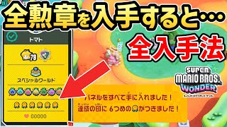 【マリオワンダー】全ての勲章を入手すると・・入手法・報酬紹介【スーパーマリオブラザーズ ワンダー】【Switch】