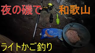 【和歌山】磯でライトかご釣り