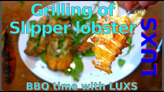 Grilled slipper lobster