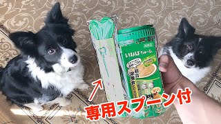 専用スプーン付きわんちゅ〜る【ボーダーコリー】