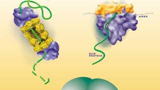 Biotechnology engineering | Wikipedia audio article