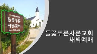 들꽃푸른샤론교회 l 새벽예배(240718)ㅣ엄인영 목사 l 삿20장 | 동족상잔이 터지다!