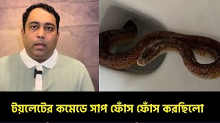 হঠাৎ তাকিয়ে দেখলেন কমোডে সাপ ফোঁস ফোঁস করছে!