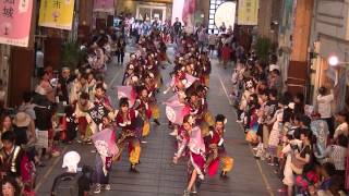 2015年8月11日　月下桜舞連　高知よさこい祭り　本祭　はりまや競演場