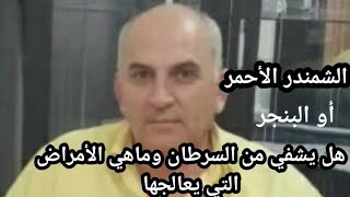 الشمندر الأحمر (البنجر) هل يشفي من السرطان وماهي الأمراض التي يعالجها ....