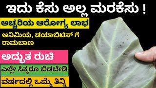 ಮರಕೆಸು ಅದ್ಭುತ ಪೋಷಕಾಂಶಗಳ ಆಗರ ! ವರ್ಷದಲ್ಲಿ ಒಮ್ಮೆ ತಿಂದರೂ ಸಾಕು ನಿಮ್ಮ ತೋಟದಲ್ಲೂ ಬೆಳೆಯಬಹುದುMarakesu benefits