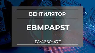 Вентилятор Ebmpapst  DV4650-470 - Олниса