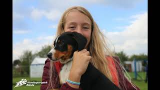 Welpentreff Welpenspiel Hundesportpark Bünde Nicole Gudd Angelina Gudd