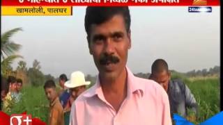 Palghar : Farmers Moving Towards Vegetable Crop For Profit