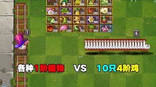 PVZ：各种1阶植物VS10只4阶鸡！输了的都是乌龟速度导致？【庄先森解说】