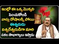 ఈ చెట్లు పెంచితే ఐశ్వర్యం పొందవచ్చంటే...| Machiraju Venugopal About Lucky Trees | Telugu Bhakthi