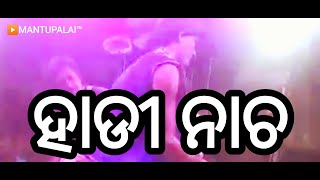 NUAPADA DANDA NACHA•PARIKUD KRUSHNAPRASAD #dandanacha