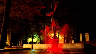 Timelapse: Kaunas in motion