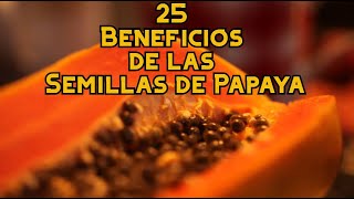 25 Beneficios de las Semillas de Papaya