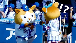 何を数えているのかな？スターマンは番長からメンバー表を受け取れるのか！？🐹【横浜DeNAベイスターズ 2024/9/23】