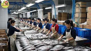 Milkfish Cutting Skills, How The Chinese Process Billions of Tons of Milkfish Each Year