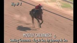 Hip #7 - MOSTLY GREATNESS