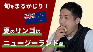 夏のリンゴは国産ではなくニュージーランド産を選んでください【フルーツのプロ・まつこうが紹介！】