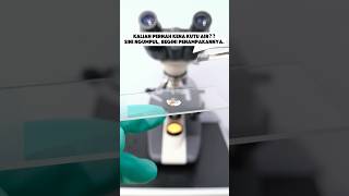 Zoom kutu air menggunakan microscope. #shorts #kutuair #microscope