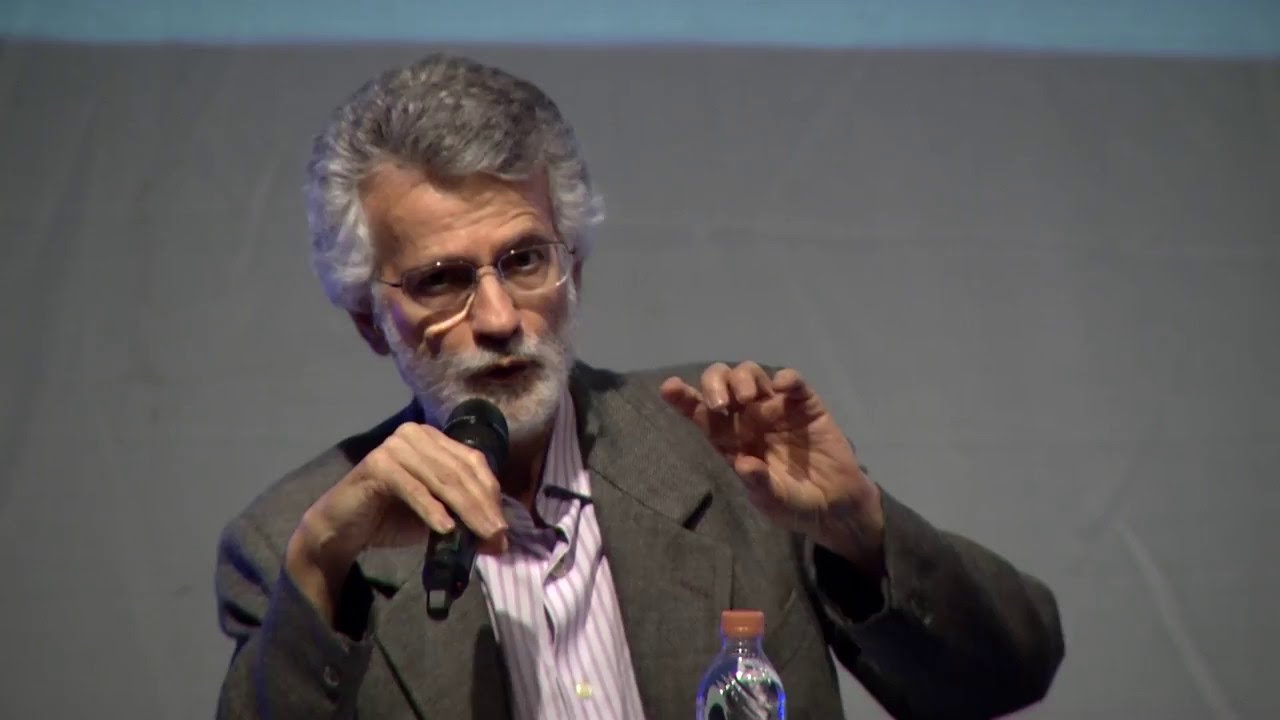 FÓRUM 2016 Prof LUIZ CARLOS DE FREITAS - Tema: Currículo - YouTube