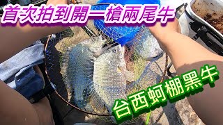 黑牛雙勾中魚 台西五條港蚵棚 黑牛 黑鯛 黑格爆桶雙勾 以為拉到怪物 磯釣｜クロダイ｜감성돔｜ ตกปลา