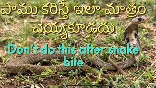 పాము కరిస్తే ఇలా మాత్రం చెయ్యకూడదు-Don’t do this after snake bite